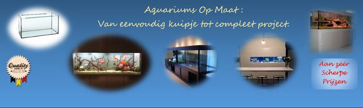 stijfheid Lang Clam Aquariums op Maat
